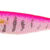 TOTO 7CM C05 RYJTTSQD05