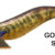 EGISTA SHALLOW 3,5 Gold Lame S-25 TS-E35S-831739