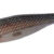 PREMIUM GIRA 2.0 Brown DTD-10313-BN