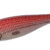 PREMIUM GIRA 1.5 Red DTD-10312-R