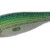 PREMIUM GIRA 2.0 Sardina DTD-10313-SA