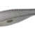 PREMIUM GIRA 1.5 White DTD-10312-W