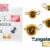 TUNGSTEN Jig Ball Gold 1g LJTB-001G