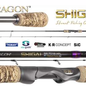 Dragon SHIGAI