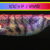 Kuzilar 2,5 Vivid PG-MS25VV