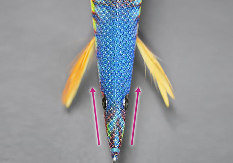 egista head
