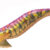 EGISTA 3,0 GOLD PINK GLITTER Ν38 TS-E35-830985