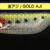 Kuzilar 3,0 Gold Aji PG-MS30KA