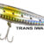 DOG STRIKE 90 TRANS IWASHI RY-JDS90-TI