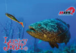 Lucky John 3D KUBIRA SWIM SHAD 7" 17.5cm - Image 5