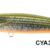 BAY RUF SEEK 85HW CYA3511 DU-167264