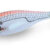WHITE KILLER BUKVA 1.5 Orange DTD-10122-O