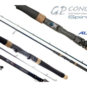 DRAGON G.P.Concept