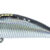 RIPPER 50s Flash #08 RIZ-RP50S-08