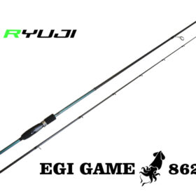 RYUJI EGI GAME 862ML Fuji 2,0-3,5