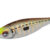 ZEBRA 2.0 Brown DTD-10353-BN