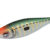 ZEBRA 1.5 Dark Green DTD-10352-DG