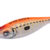 ZEBRA 2.0 Orange DTD-10353-O