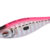 ZEBRA 1.5 Pink DTD-10352-P