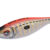 ZEBRA 1.5 Red DTD-10352-R