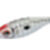 ZEBRA 1.5 White DTD-10352-W