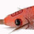 ARBUN 2.0 Orange DTD-10023-O