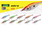 DTD ZEBRA 1.5 - Image 3
