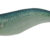 EGISTA 1,5 #10 Glow Mackerel TGSA TS-E15-836093