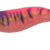 EGISTA 1,5 #1 Glow Pink TKP TS-E15-836000