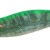 EGISTA BTB 3,0 Sea Lettuge Green