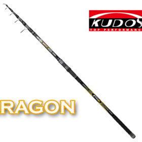 RYUJI ARAGON 60-150g 3,90mt