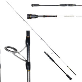 RYUJI OCEAN SOUL Fuji 1.83m 30-200gr Slow jig Spin