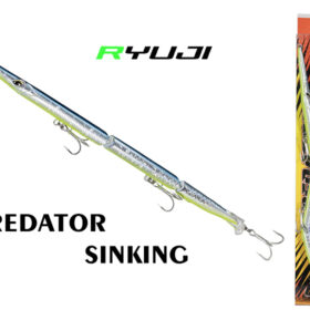 RYUJI PREDATOR SINKING 255