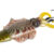 CUTTLE FISH 110gr NATURAL