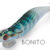 WEAK FISH 3.0 BONITO