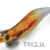 WEAK FISH 3.0 TRIGLIA